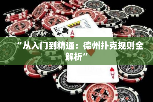 “從入門到精通：德州撲克規則全解析”