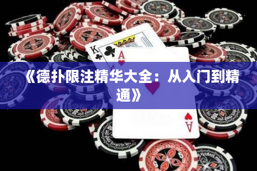 《德撲限注精華大全：從入門到精通》