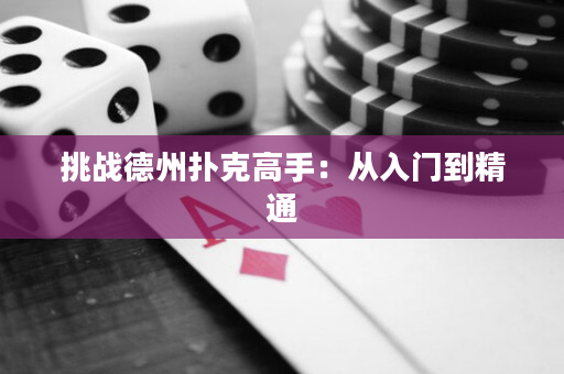 挑戰德州撲克高手：從入門到精通