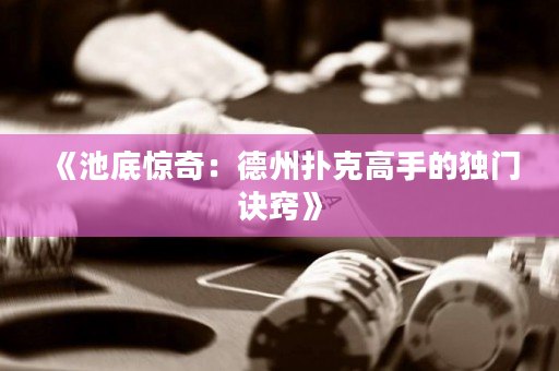 《池底驚奇：德州撲克高手的獨門訣竅》