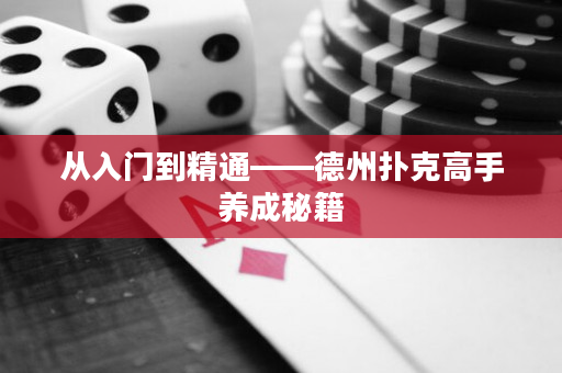 從入門到精通——德州撲克高手養成秘籍