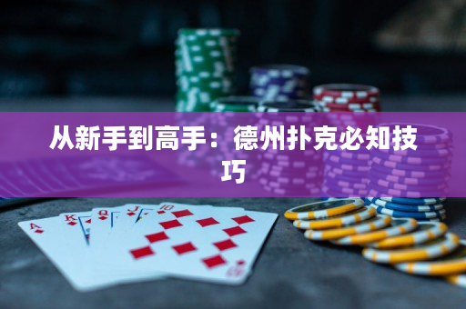從新手到高手：德州撲克必知技巧