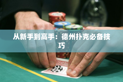 從新手到高手：德州撲克必備技巧