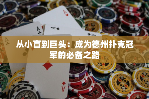 從小盲到巨頭：成為德州撲克冠軍的必備之路