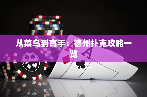 從菜鳥到高手：德州撲克攻略一覽