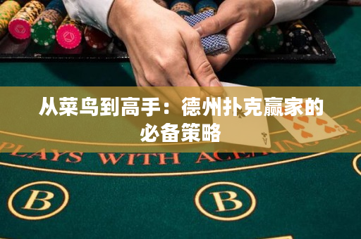 從菜鳥到高手：德州撲克贏家的必備策略