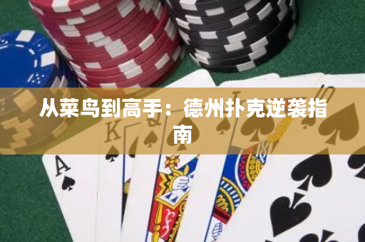 從菜鳥到高手：德州撲克逆襲指南
