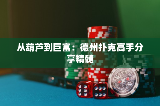 從葫蘆到巨富：德州撲克高手分享精髓