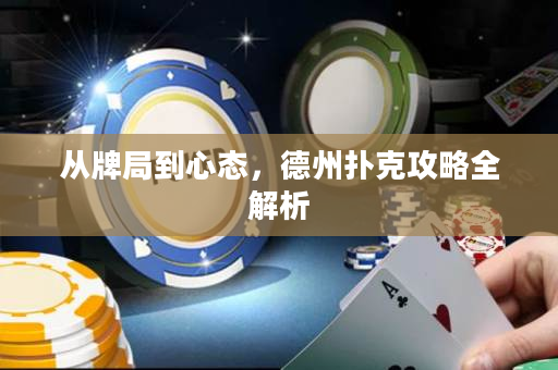 從牌局到心態，德州撲克攻略全解析
