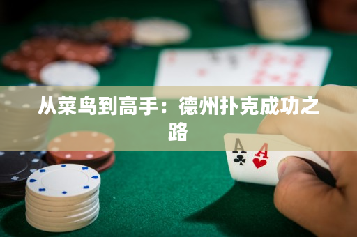 從菜鳥到高手：德州撲克成功之路