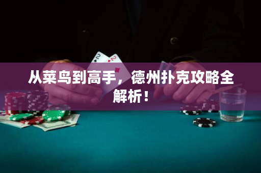 從菜鳥到高手，德州撲克攻略全解析！