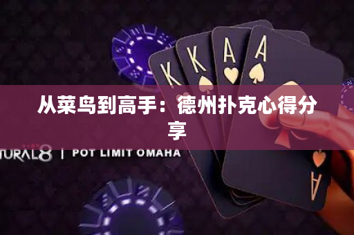 從菜鳥到高手：德州撲克心得分享
