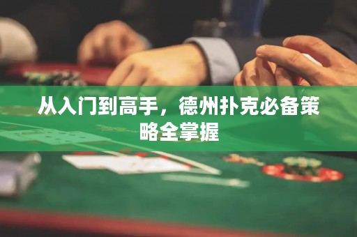 從入門到高手，德州撲克必備策略全掌握