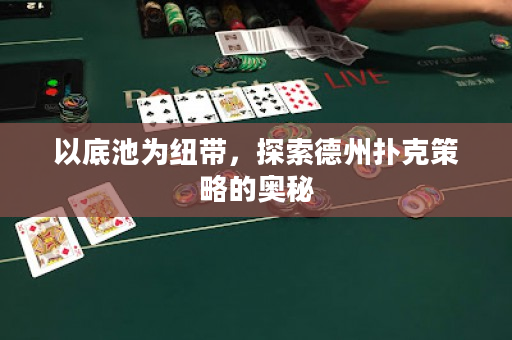 以底池為紐帶，探索德州撲克策略的奧秘