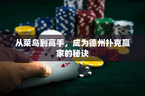 從菜鳥到高手，成為德州撲克贏家的秘訣