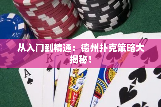 從入門到精通：德州撲克策略大揭秘！