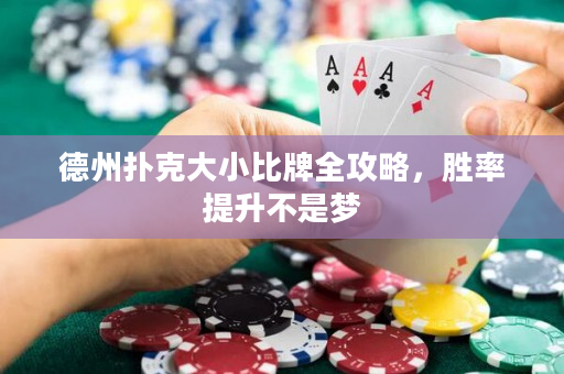 德州撲克大小比牌全攻略，勝率提升不是夢