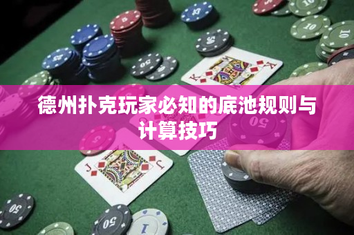 德州撲克玩家必知的底池規則與計算技巧
