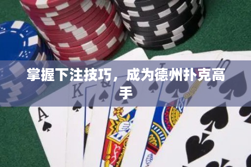 掌握下注技巧，成為德州撲克高手
