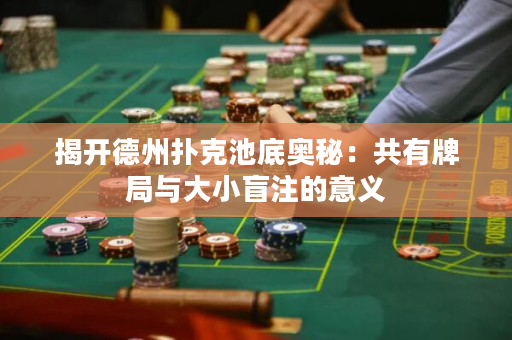 揭開德州撲克池底奧秘：共有牌局與大小盲注的意義