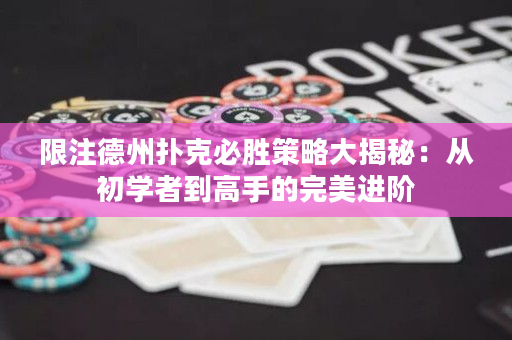 限注德州撲克必勝策略大揭秘：從初學(xué)者到高手的完美進(jìn)階