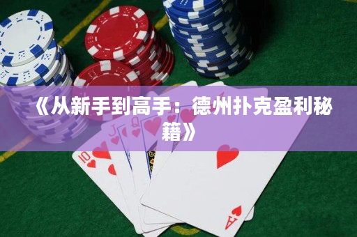 《從新手到高手：德州撲克盈利秘籍》