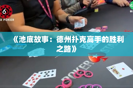 《池底故事：德州撲克高手的勝利之路》