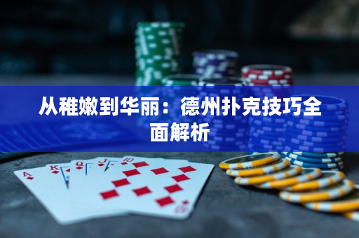 從稚嫩到華麗：德州撲克技巧全面解析