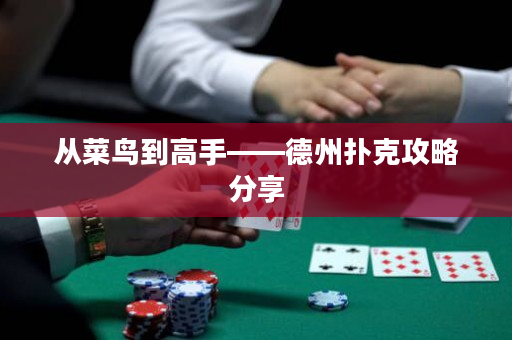 從菜鳥到高手——德州撲克攻略分享