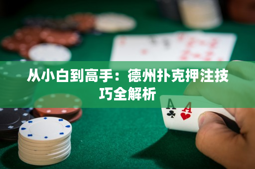 從小白到高手：德州撲克押注技巧全解析