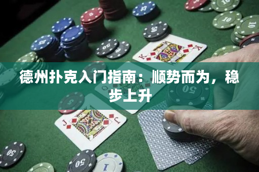 德州撲克入門指南：順勢而為，穩(wěn)步上升
