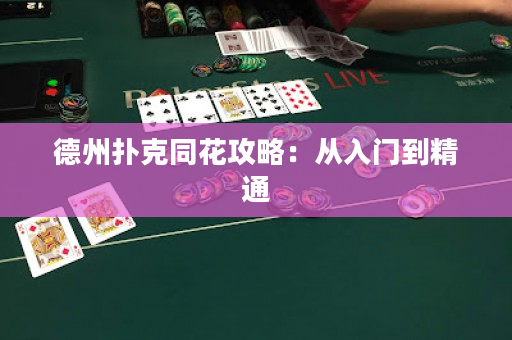 德州撲克同花攻略：從入門到精通