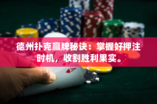 德州撲克贏牌秘訣：掌握好押注時機，收割勝利果實。