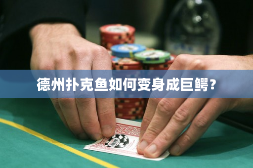 德州撲克魚如何變身成巨鱷？