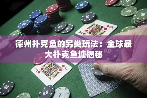 德州撲克魚的另類玩法：全球最大撲克魚塘揭秘