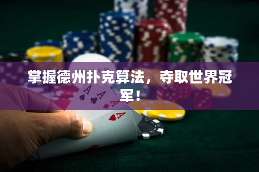 掌握德州撲克算法，奪取世界冠軍！