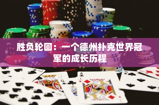 勝負輪回：一個德州撲克世界冠軍的成長歷程