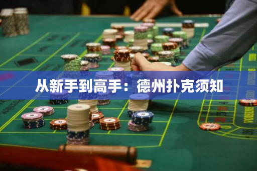 從新手到高手：德州撲克須知
