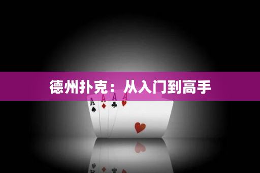 德州撲克：從入門到高手