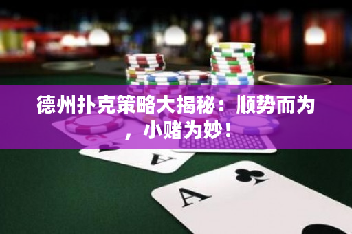 德州撲克策略大揭秘：順勢而為，小賭為妙！
