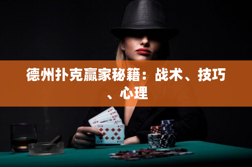 德州撲克贏家秘籍：戰(zhàn)術、技巧、心理