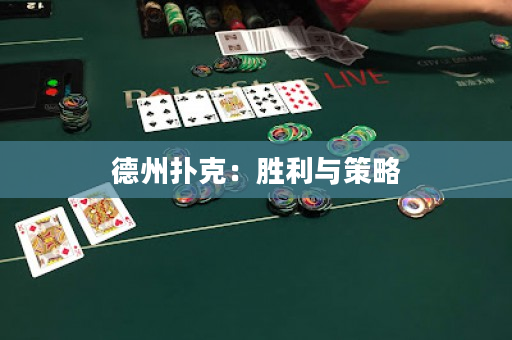 德州撲克：勝利與策略
