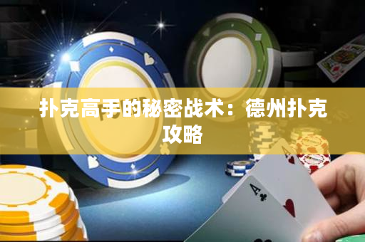 撲克高手的秘密戰(zhàn)術：德州撲克攻略