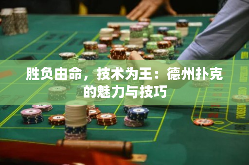 勝負(fù)由命，技術(shù)為王：德州撲克的魅力與技巧