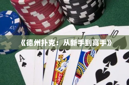 《德州撲克：從新手到高手》