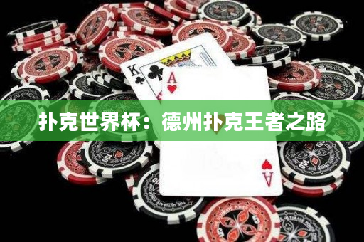 撲克世界杯：德州撲克王者之路