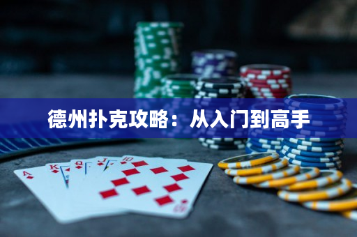 德州撲克攻略：從入門到高手