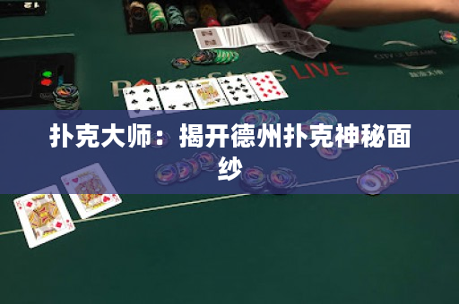 撲克大師：揭開德州撲克神秘面紗