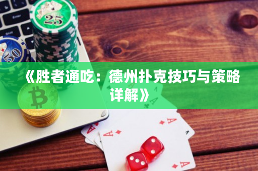 《勝者通吃：德州撲克技巧與策略詳解》