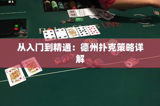 從入門到精通：德州撲克策略詳解